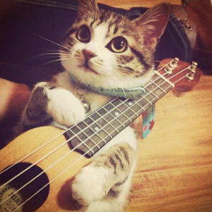 粉嫩虎白女-丝不挂
